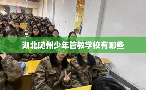 湖北随州少年管教学校有哪些