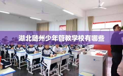 湖北随州少年管教学校有哪些