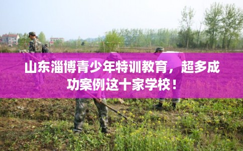 山东淄博青少年特训教育,超多成功案例这十家学校! 山东淄博青少年特训教育,超多成功案例这十家学校!