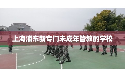 上海浦东新专门未成年管教的学校
