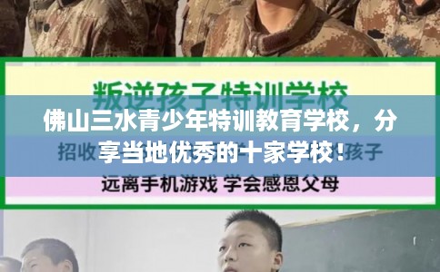 佛山三水青少年特训教育学校,分享当地优秀的十家学校! 佛山三水青少年特训教育学校,分享当地优秀的十家学校!