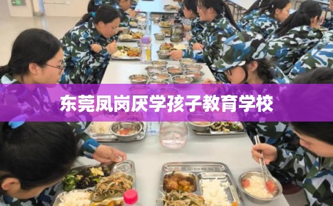 东莞凤岗厌学孩子教育学校