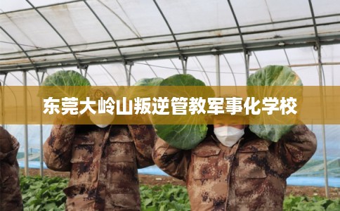 东莞大岭山叛逆管教军事化学校 东莞大岭山叛逆管教军事化学校