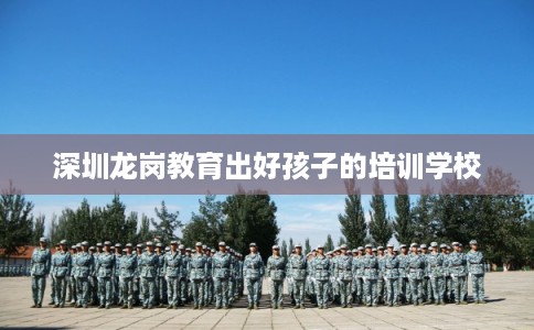 深圳龙岗教育出好孩子的培训学校