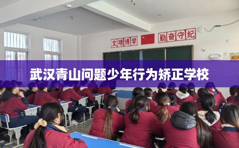 武汉青山问题少年行为矫正学校 武汉青山问题少年行为矫正学校