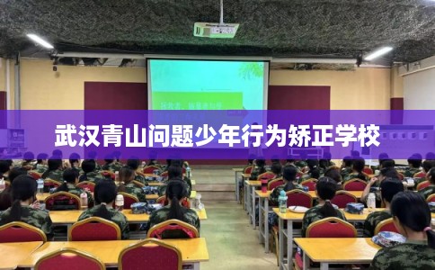 武汉青山问题少年行为矫正学校 武汉青山问题少年行为矫正学校