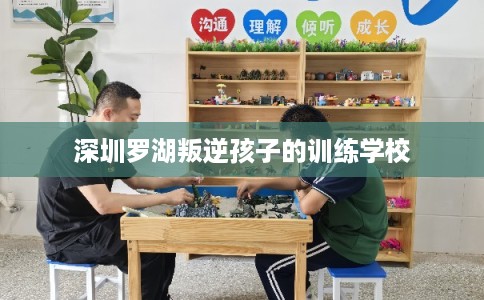 深圳罗湖叛逆孩子的训练学校