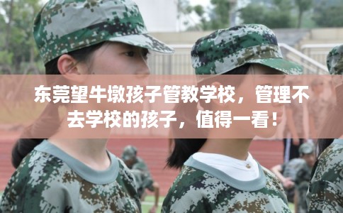 东莞望牛墩孩子管教学校，管理不去学校的孩子，值得一看！