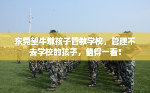 东莞望牛墩孩子管教学校，管理不去学校的孩子，值得一看！