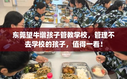 东莞望牛墩孩子管教学校，管理不去学校的孩子，值得一看！