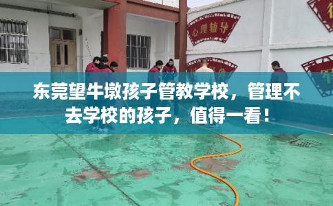 东莞望牛墩孩子管教学校，管理不去学校的孩子，值得一看！