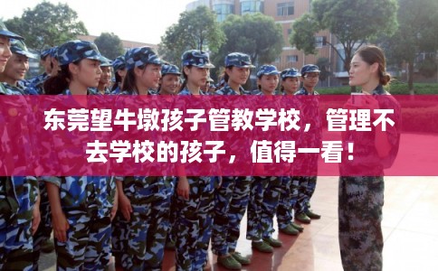 东莞望牛墩孩子管教学校，管理不去学校的孩子，值得一看！