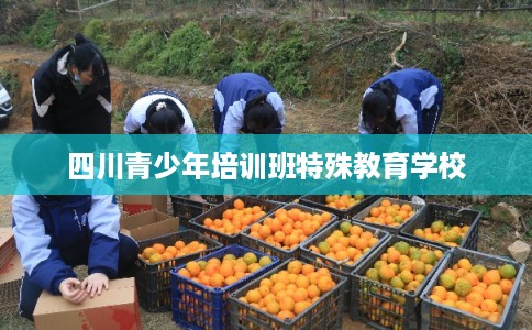 四川青少年培训班特殊教育学校