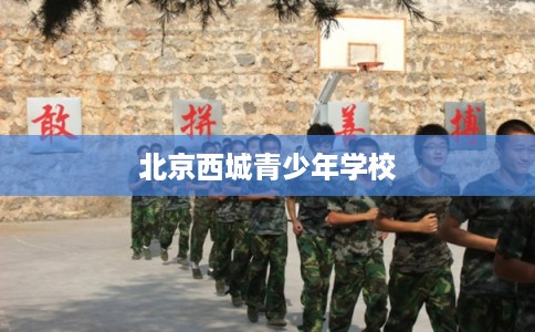北京西城青少年学校