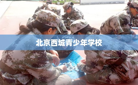北京西城青少年学校