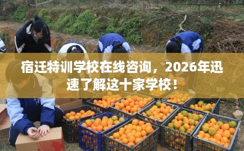 宿迁特训学校在线咨询,2026年迅速了解这十家学校!