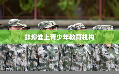 蚌埠淮上青少年教育机构