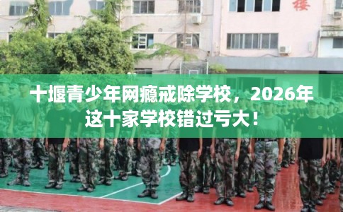十堰青少年网瘾戒除学校，2026年这十家学校错过亏大！