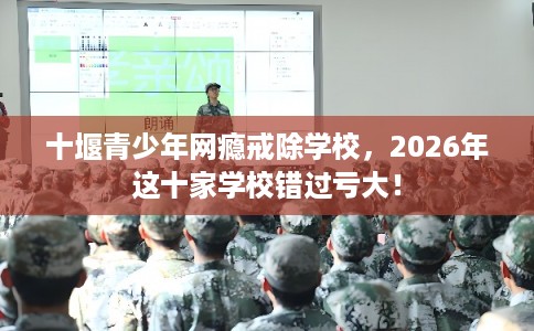 十堰青少年网瘾戒除学校，2026年这十家学校错过亏大！