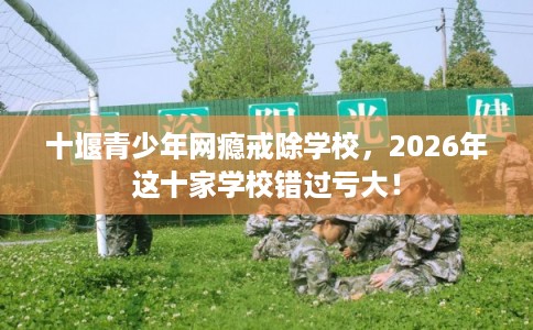 十堰青少年网瘾戒除学校，2026年这十家学校错过亏大！