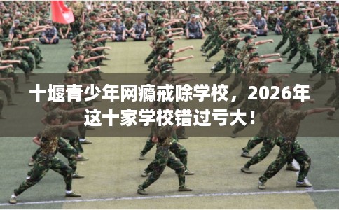 十堰青少年网瘾戒除学校，2026年这十家学校错过亏大！