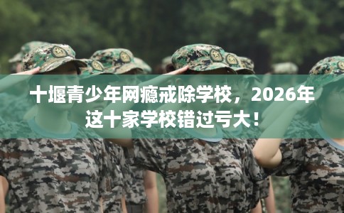 十堰青少年网瘾戒除学校，2026年这十家学校错过亏大！