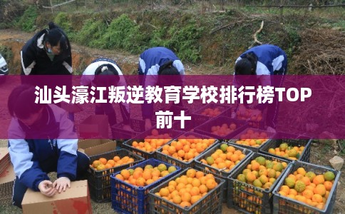 汕头濠江叛逆教育学校排行榜TOP前十