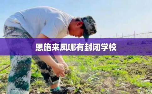 恩施来凤哪有封闭学校