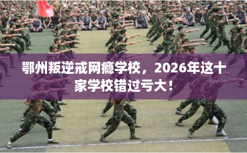 鄂州叛逆戒网瘾学校,2026年这十家学校错过亏大! 鄂州叛逆戒网瘾学校,2026年这十家学校错过亏大!
