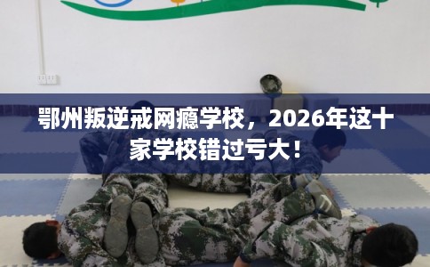 鄂州叛逆戒网瘾学校,2026年这十家学校错过亏大! 鄂州叛逆戒网瘾学校,2026年这十家学校错过亏大!