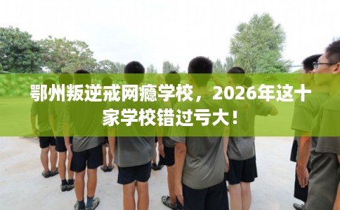 鄂州叛逆戒网瘾学校,2026年这十家学校错过亏大! 鄂州叛逆戒网瘾学校,2026年这十家学校错过亏大!