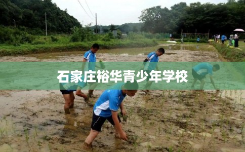 石家庄裕华青少年学校