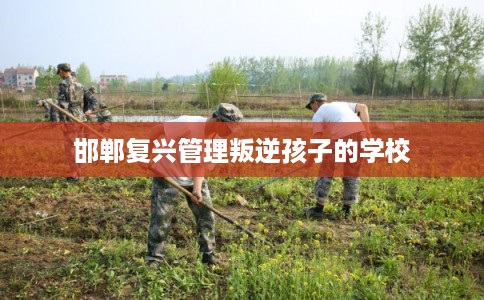 邯郸复兴管理叛逆孩子的学校