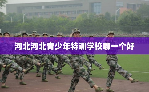 河北河北青少年特训学校哪一个好 河北河北青少年特训学校哪一个好