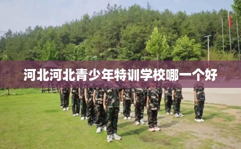 河北河北青少年特训学校哪一个好 河北河北青少年特训学校哪一个好