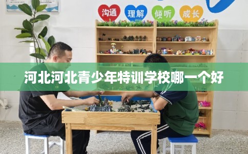 河北河北青少年特训学校哪一个好 河北河北青少年特训学校哪一个好