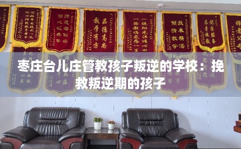 枣庄台儿庄管教孩子叛逆的学校:挽救叛逆期的孩子 枣庄台儿庄管教孩子叛逆的学校:挽救叛逆期的孩子