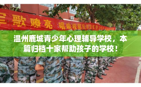 温州鹿城青少年心理辅导学校，本篇归档十家帮助孩子的学校！