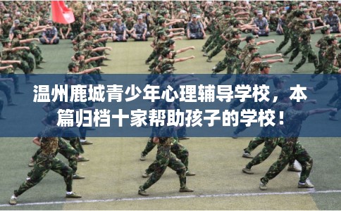 温州鹿城青少年心理辅导学校，本篇归档十家帮助孩子的学校！