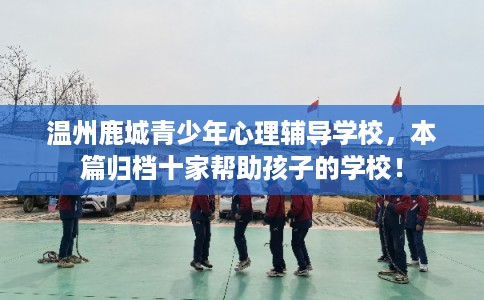 温州鹿城青少年心理辅导学校，本篇归档十家帮助孩子的学校！