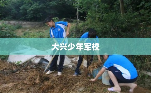 大兴少年军校 大兴少年军校