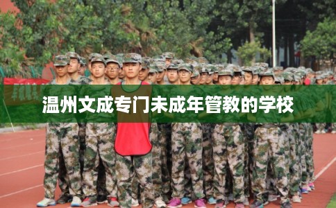温州文成专门未成年管教的学校