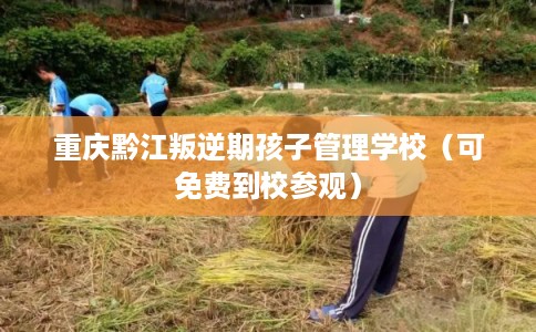 重庆黔江叛逆期孩子管理学校(可免费到校参观) 重庆黔江叛逆期孩子管理学校(可免费到校参观)