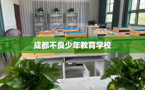 成都不良少年教育学校 成都不良少年教育学校
