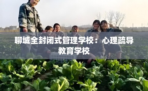 聊城全封闭式管理学校：心理疏导教育学校