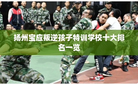 扬州宝应叛逆孩子特训学校十大排名一览 扬州宝应叛逆孩子特训学校十大排名一览