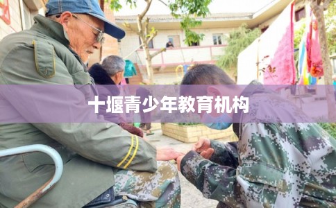 十堰青少年教育机构