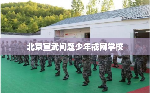 北京宣武问题少年戒网学校