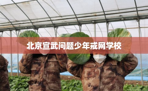 北京宣武问题少年戒网学校