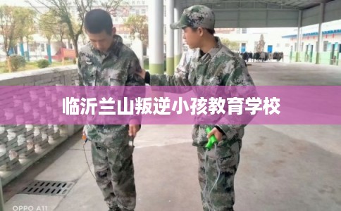 临沂兰山叛逆小孩教育学校 临沂兰山叛逆小孩教育学校